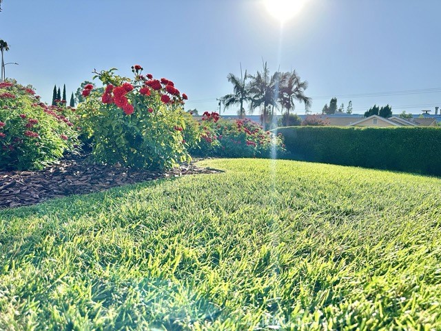 968 N Feather Avenue