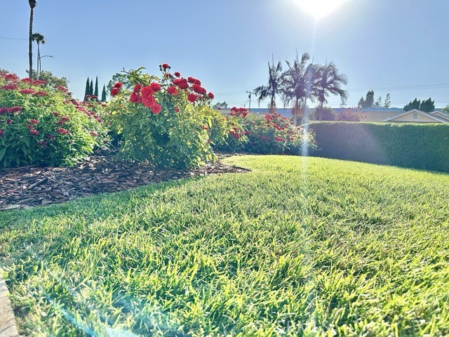 968 N Feather Avenue