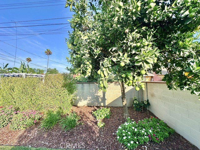 968 N Feather Avenue