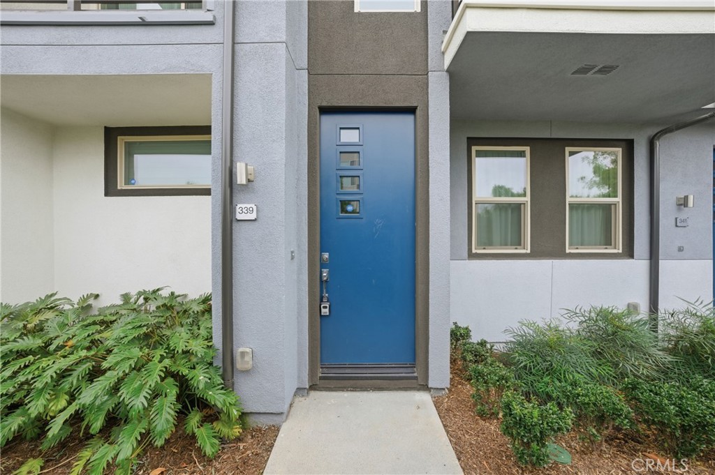 339 Placemark