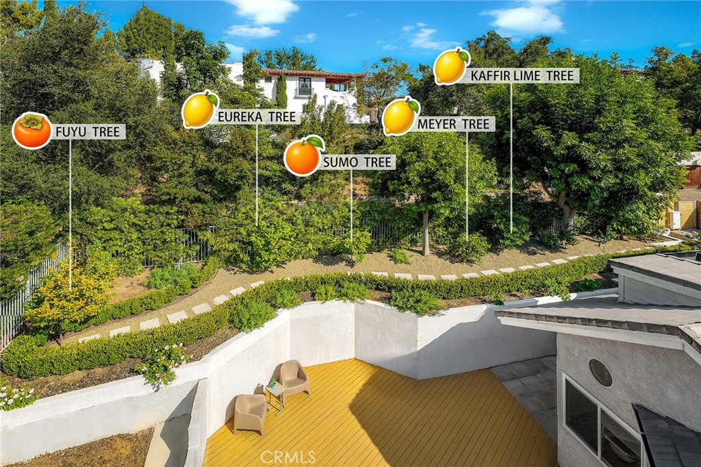 411 Woodcliffe
