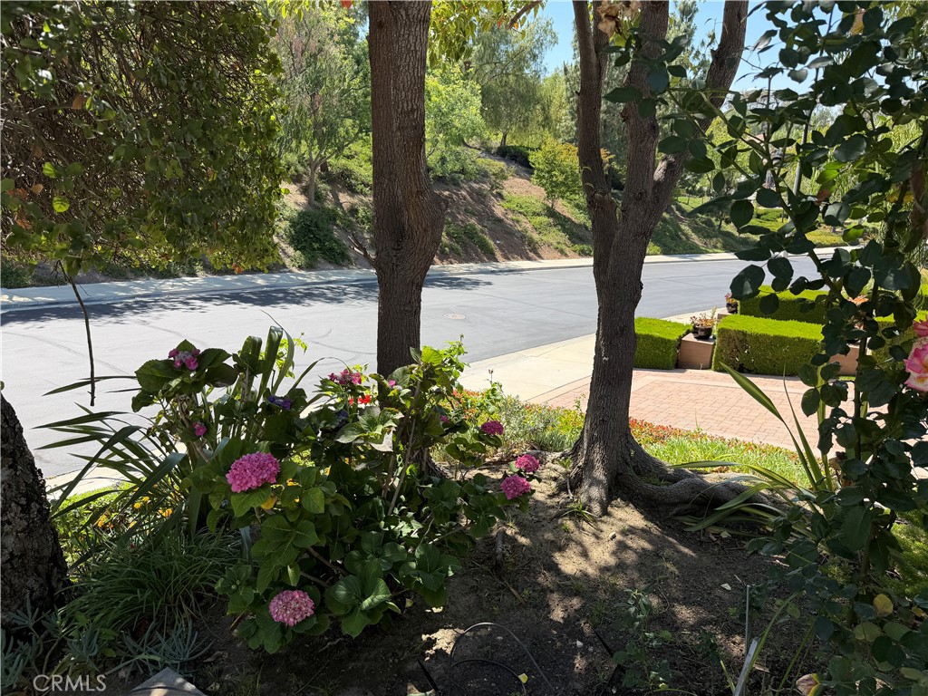 16333 Fox Hollow