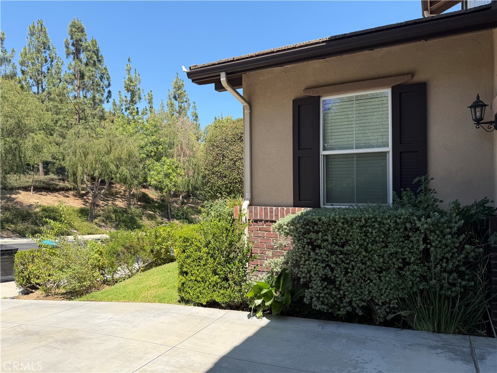 16333 Fox Hollow