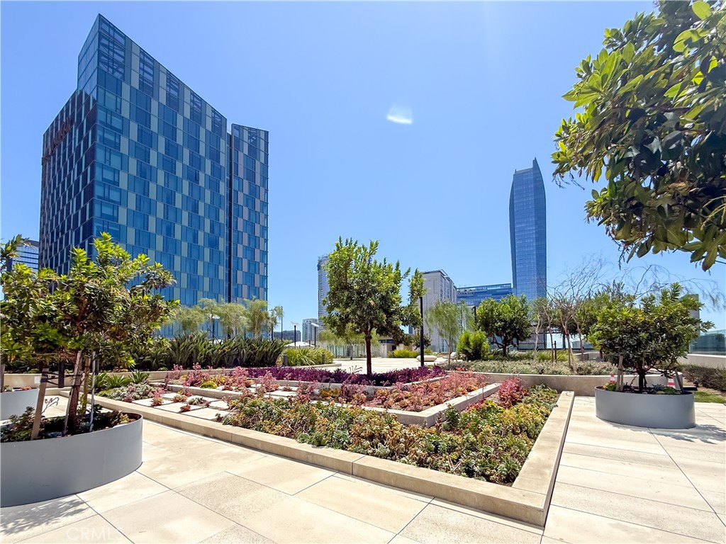 889 Francisco 2502