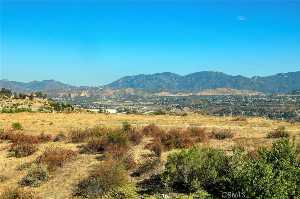 27624 Camellia Drive