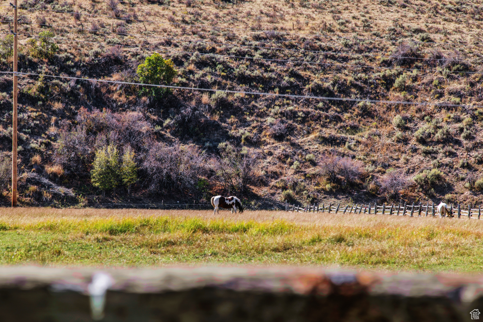 6950 N RIVER VALLEY DR