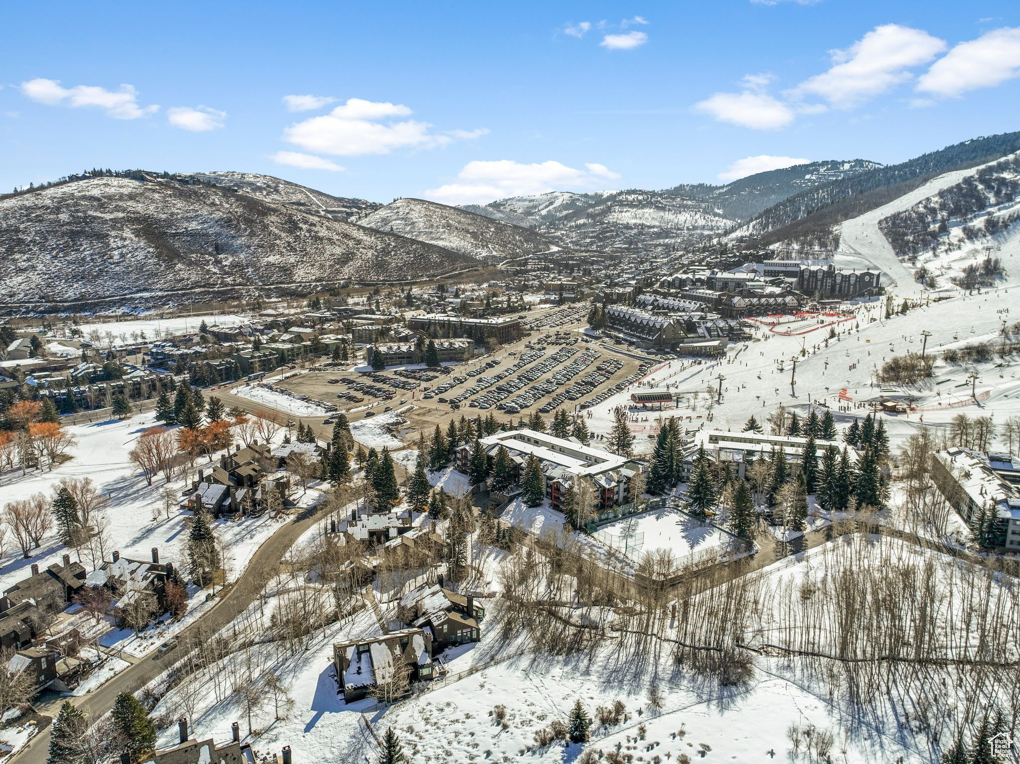 401 SILVER KING DR #17