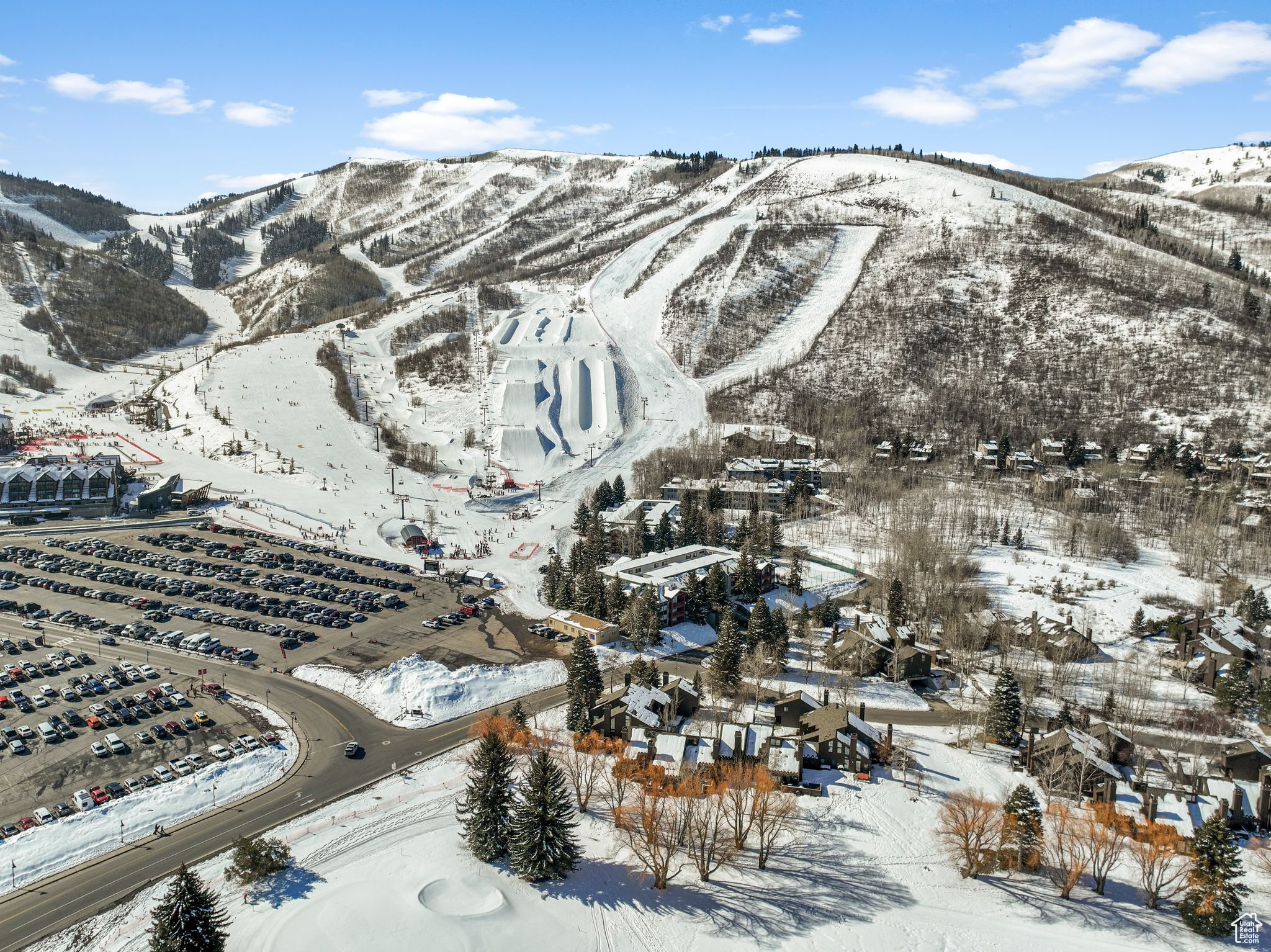 401 SILVER KING DR #17