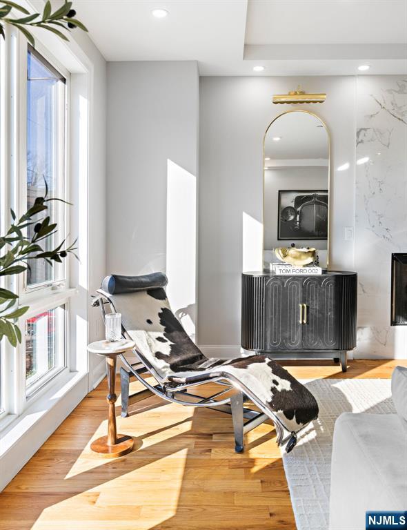 227 Wayne Avenue 227A