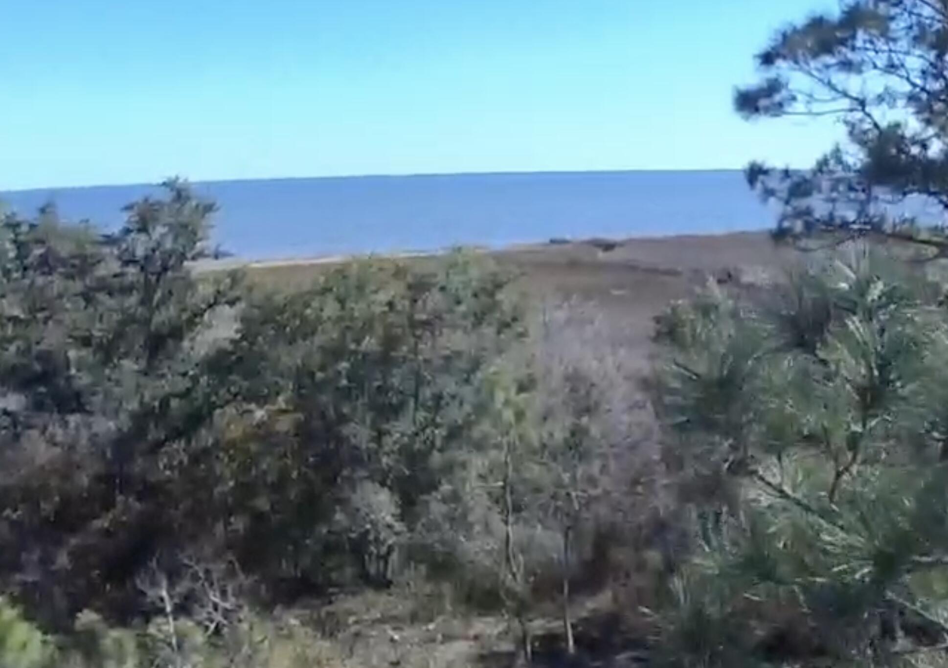 1056 Oyster Bay Avenue