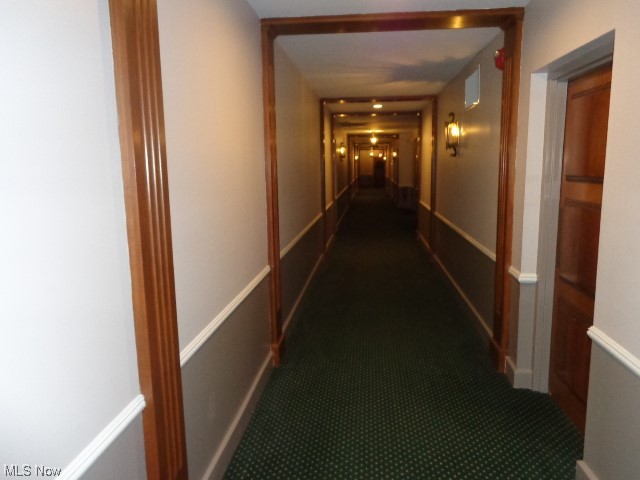 3167 Linden Road 307