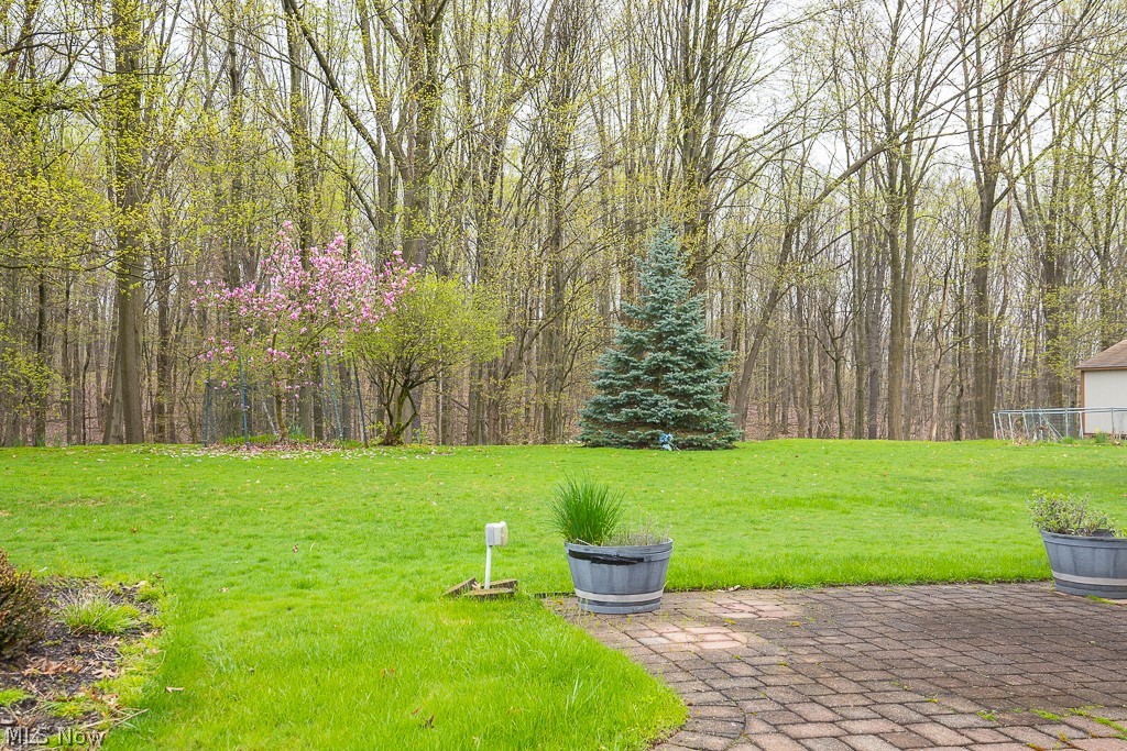 6311 Rousseau Drive