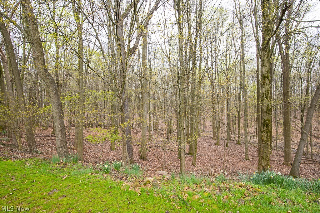 6311 Rousseau Drive