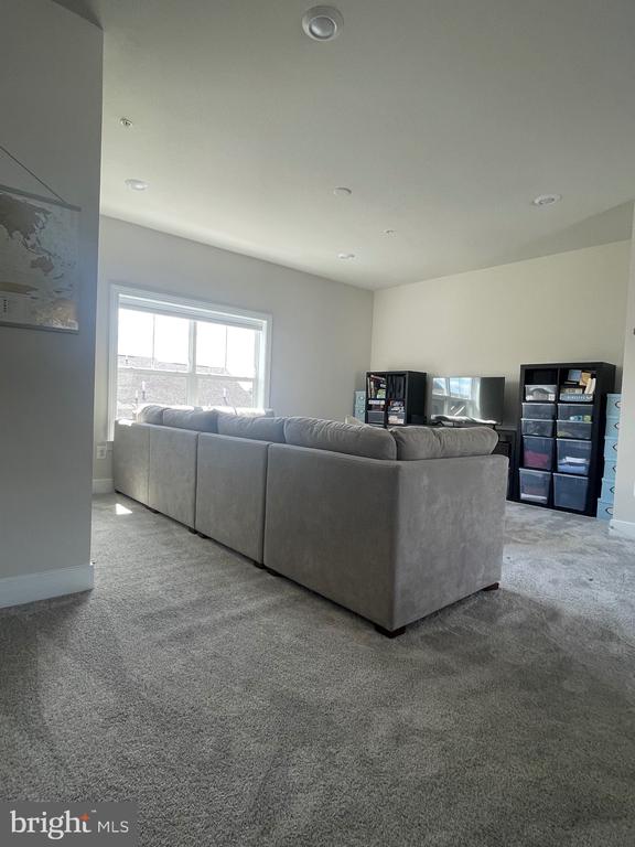 106 DICKENSON DR