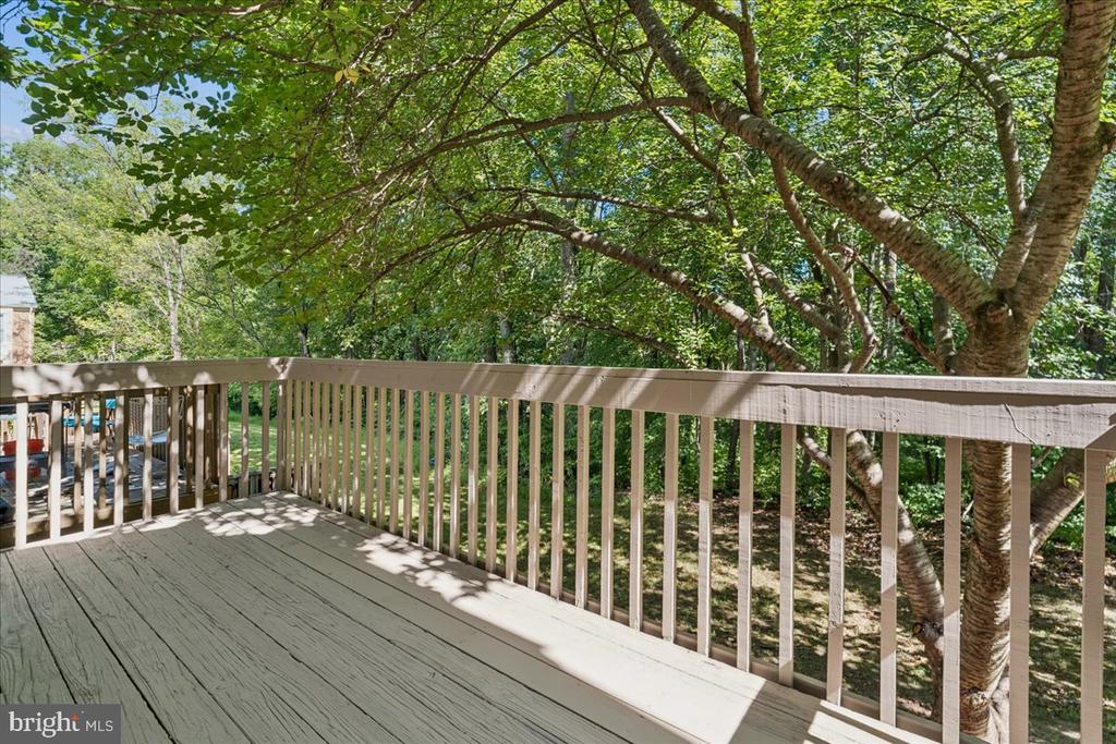 10057 MAPLE LEAF DRIVE