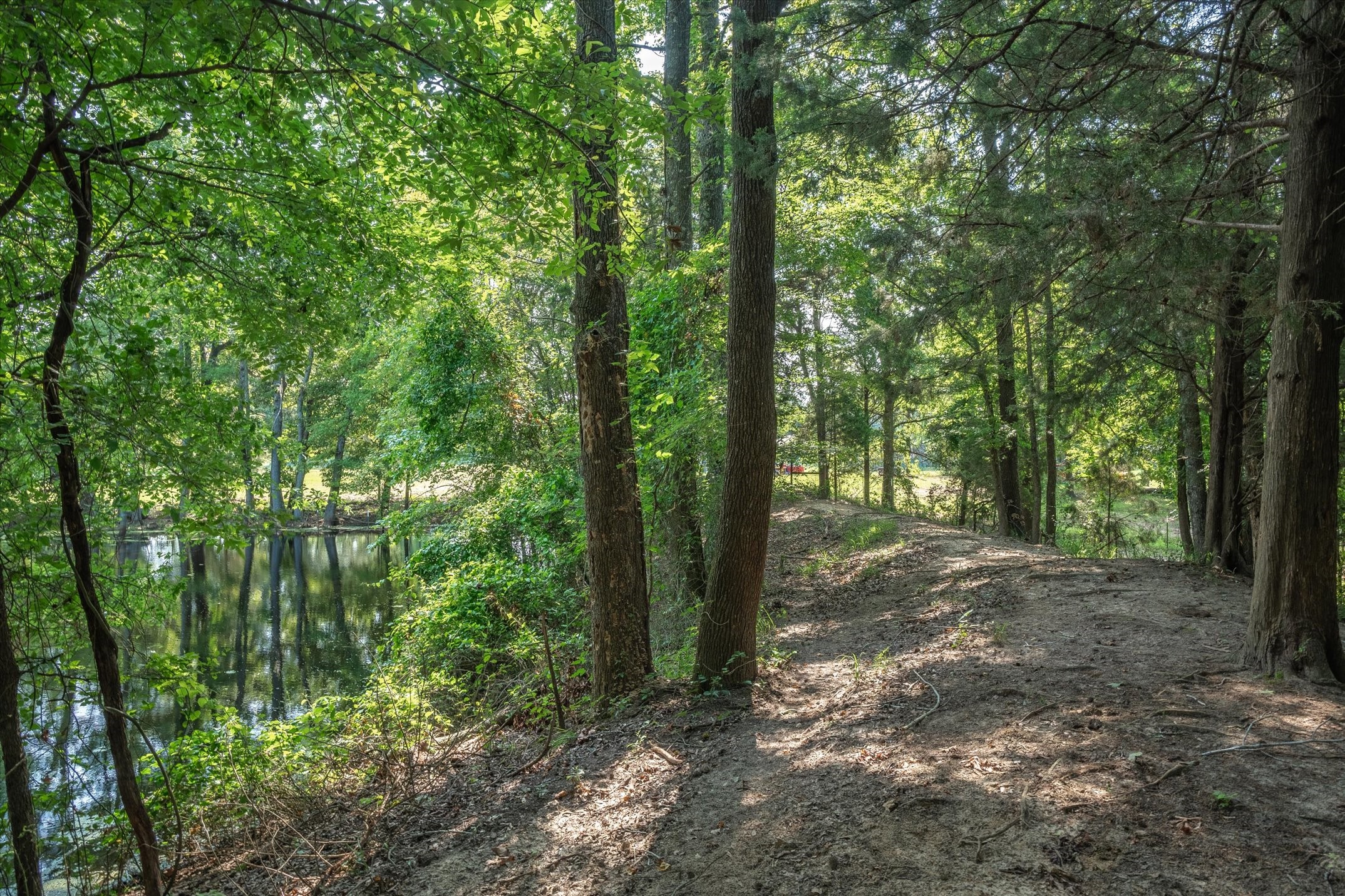 945 County Road 2360