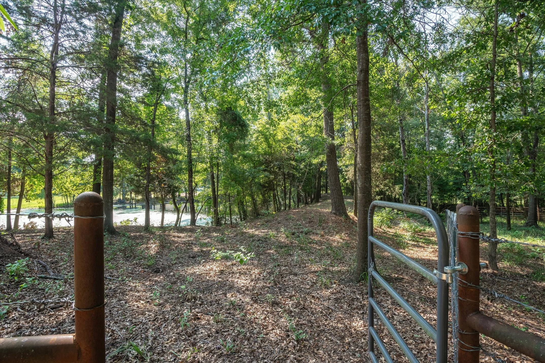 945 County Road 2360