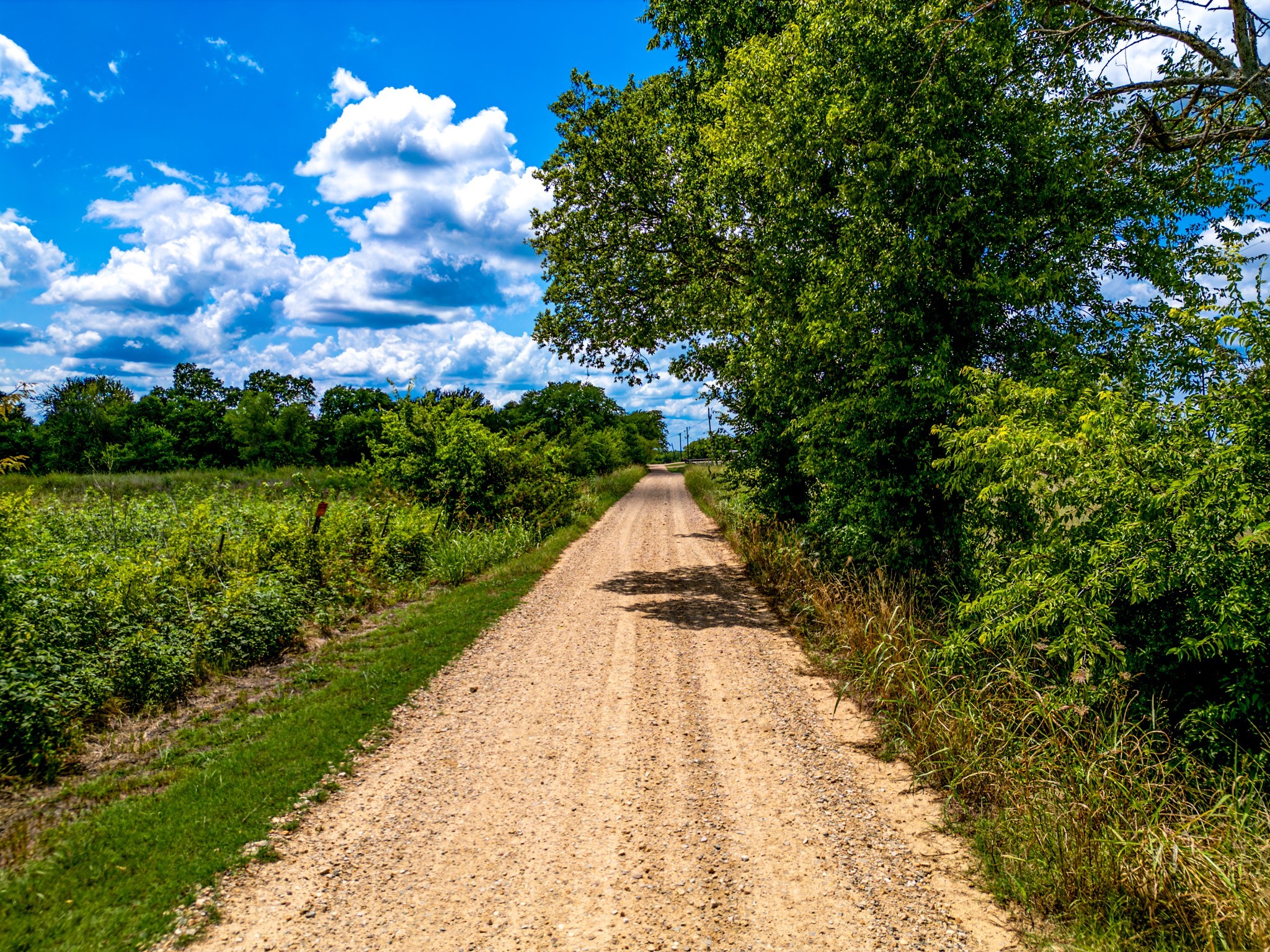 TBD County Road 26320