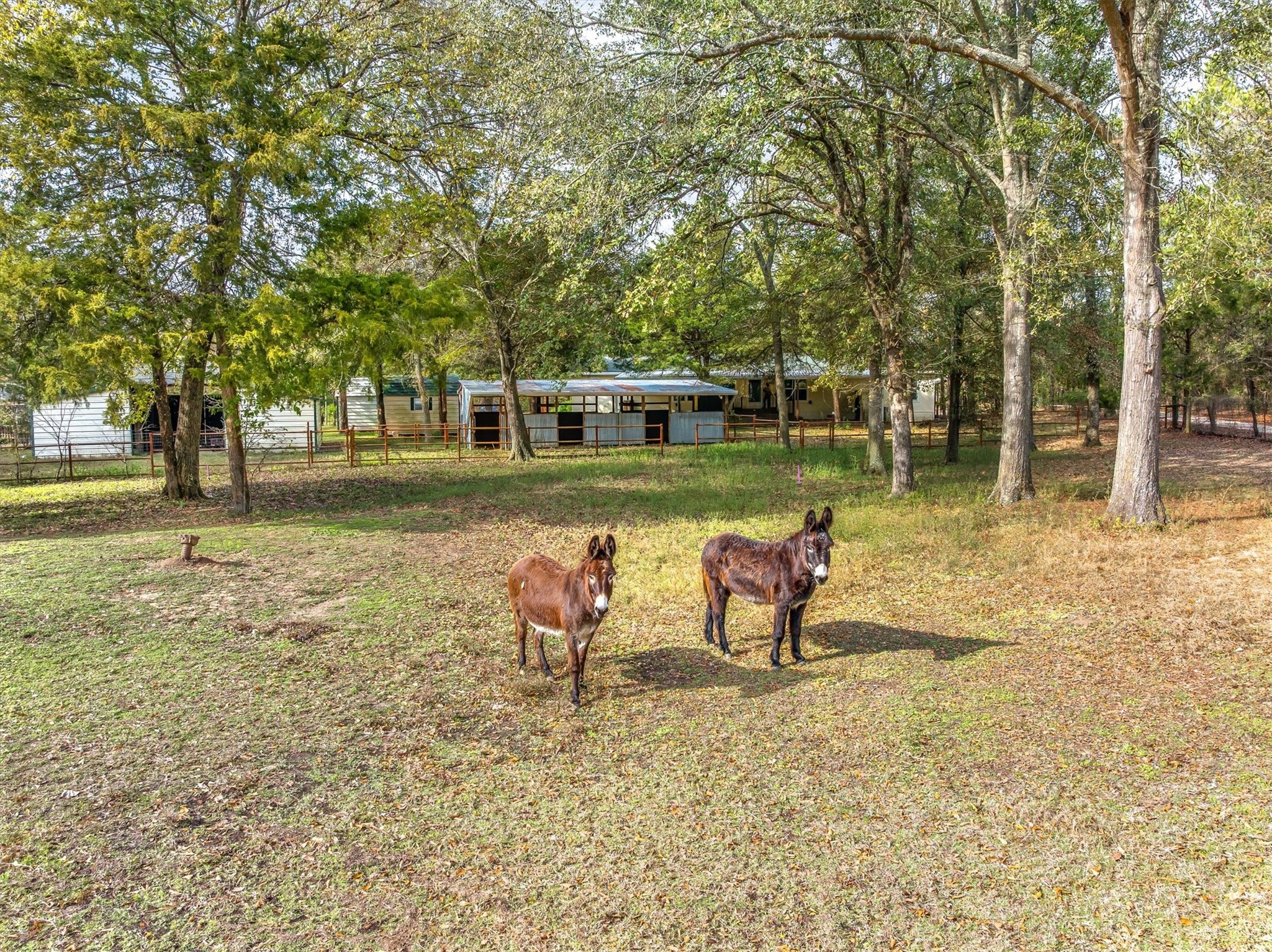 10218 County Road 313