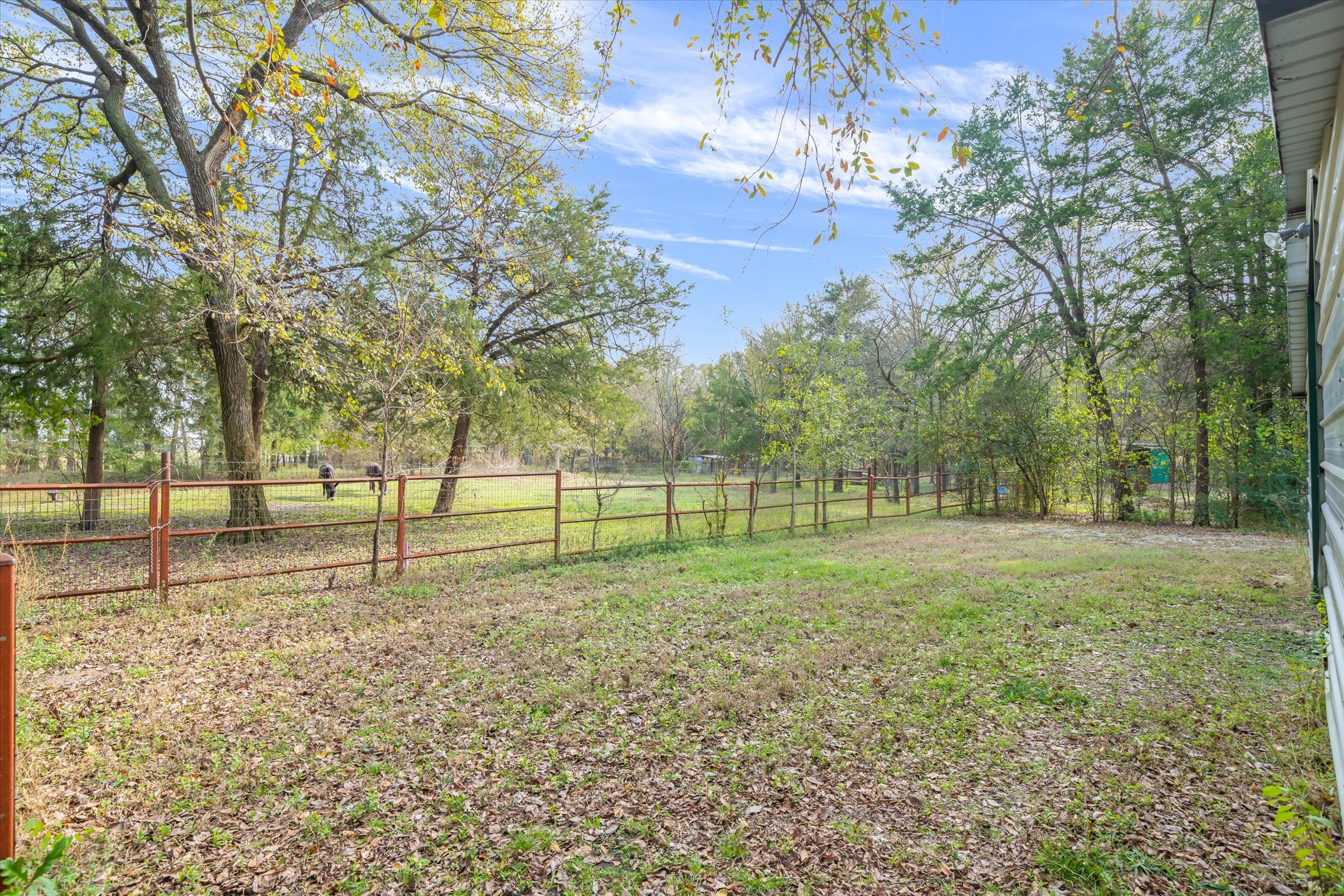 10218 County Road 313