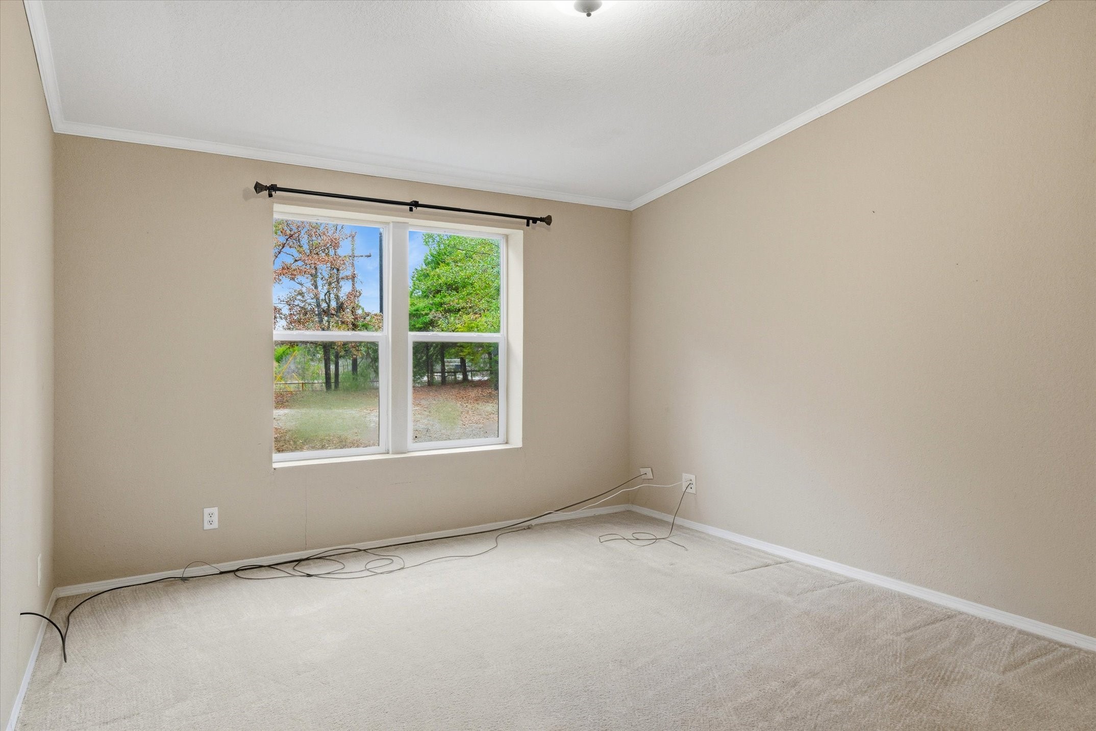 10218 County Road 313