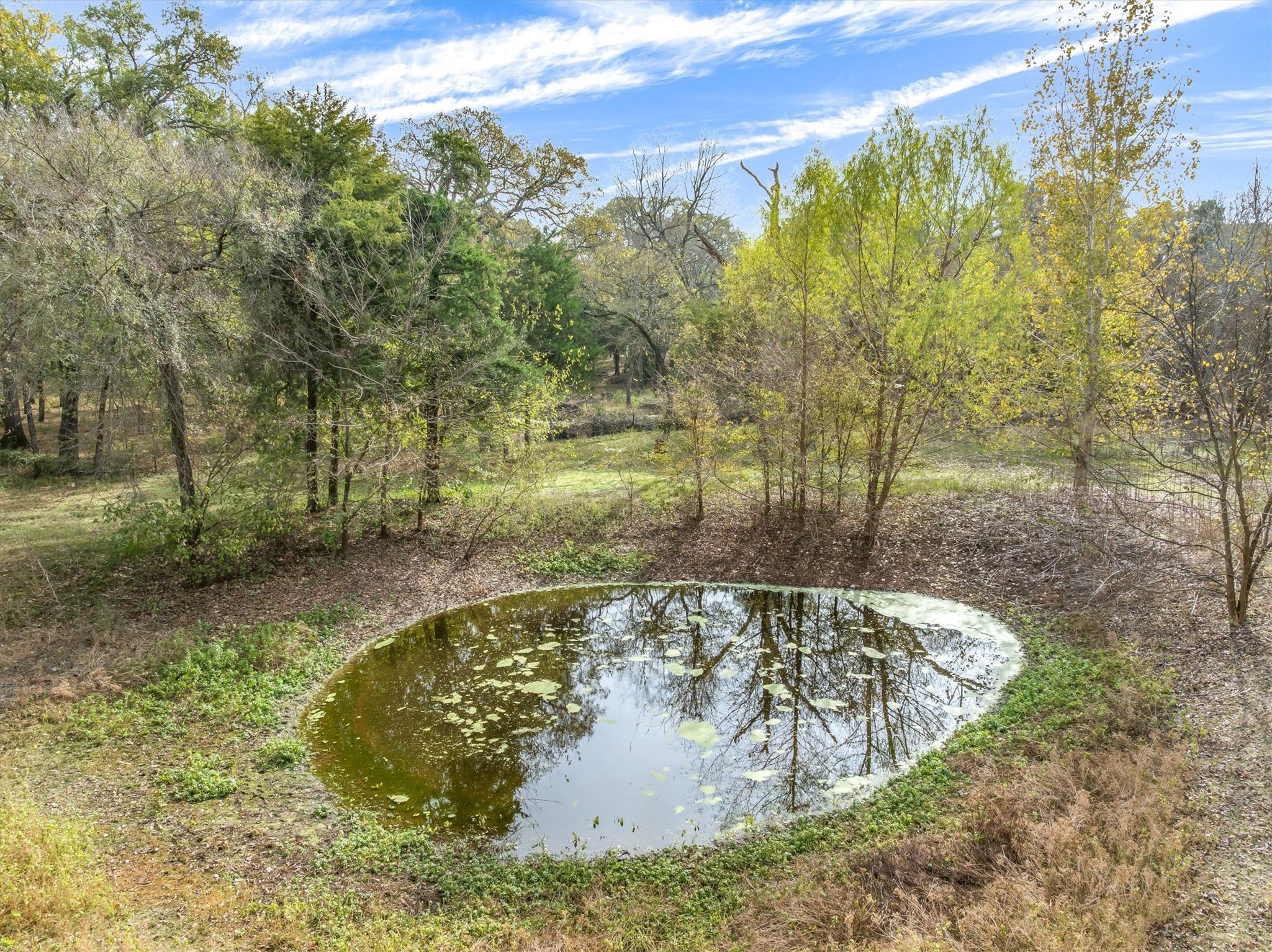 10218 County Road 313