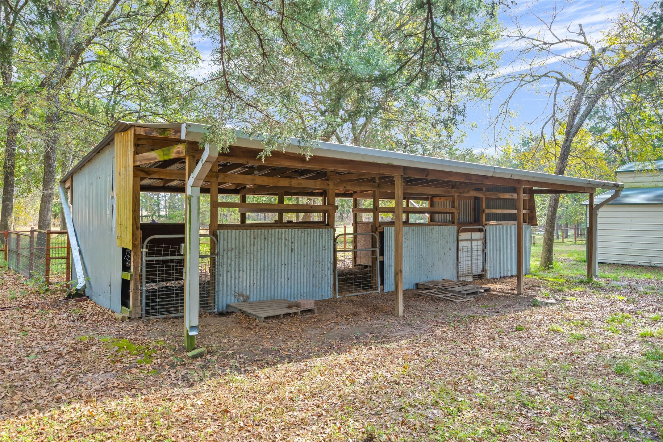 10218 County Road 313