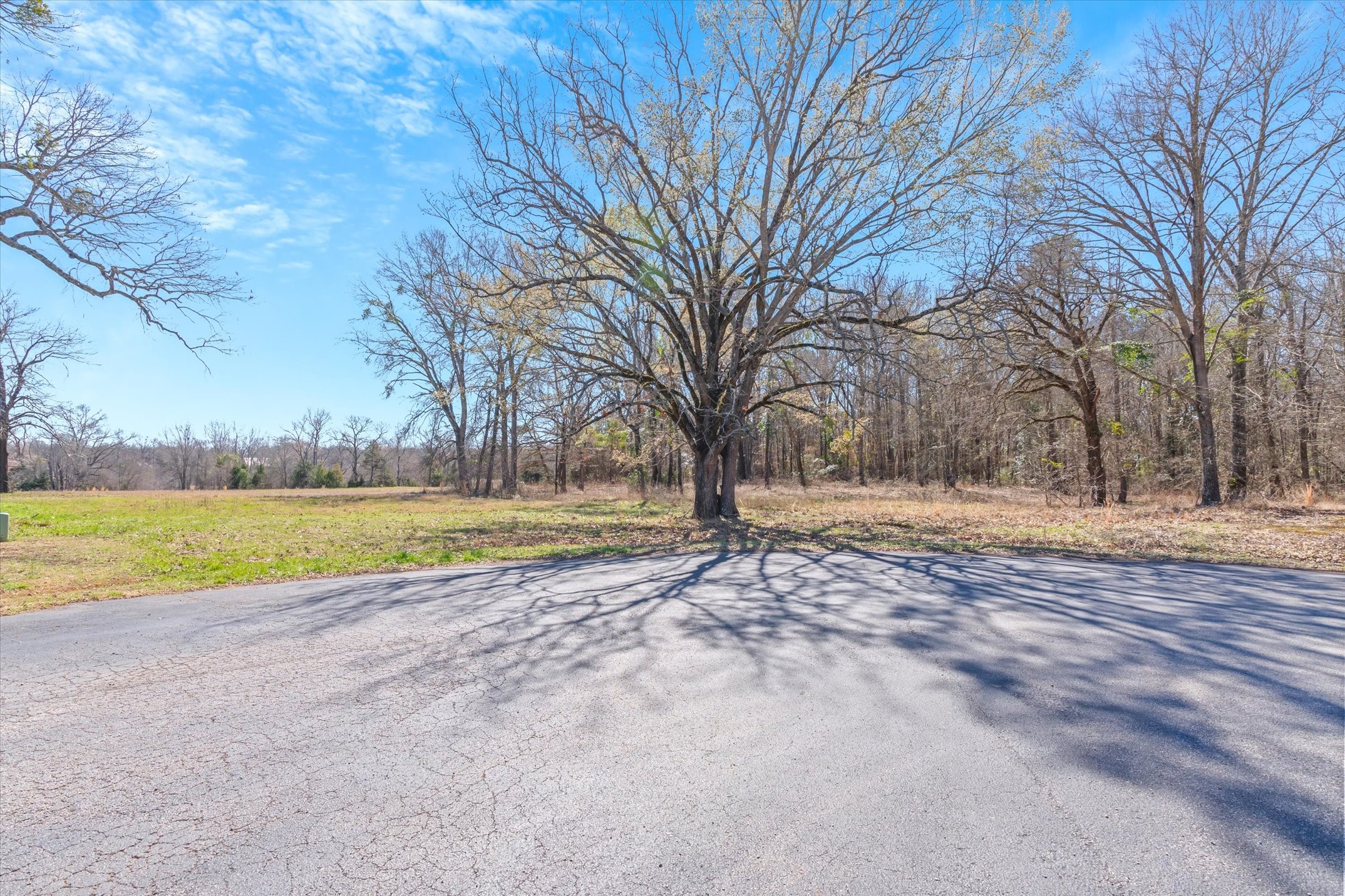 23771 Champion Drive