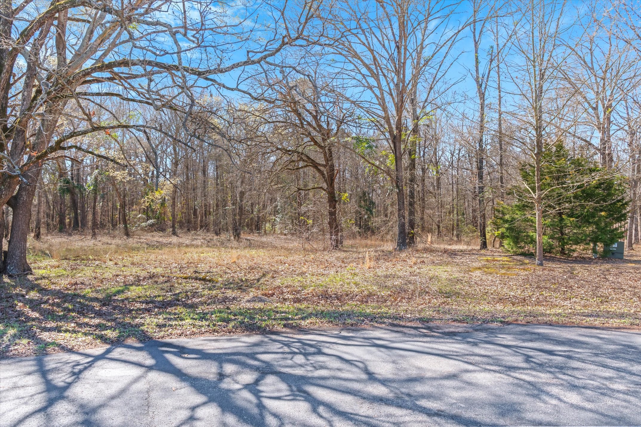 23790 Champion Drive