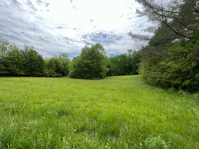 57 Moorehead Ln