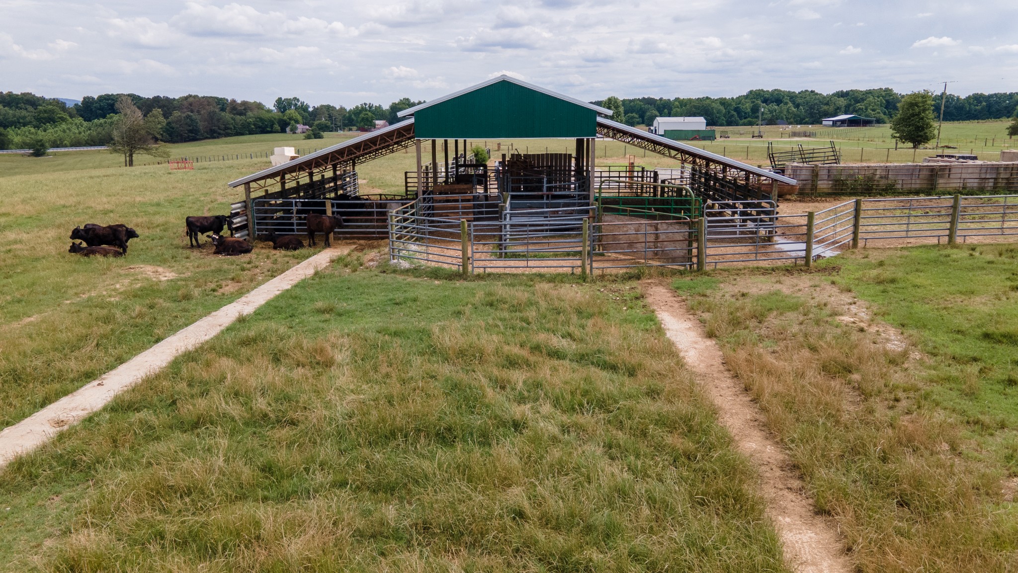 202 High Dollar Heifer Ln