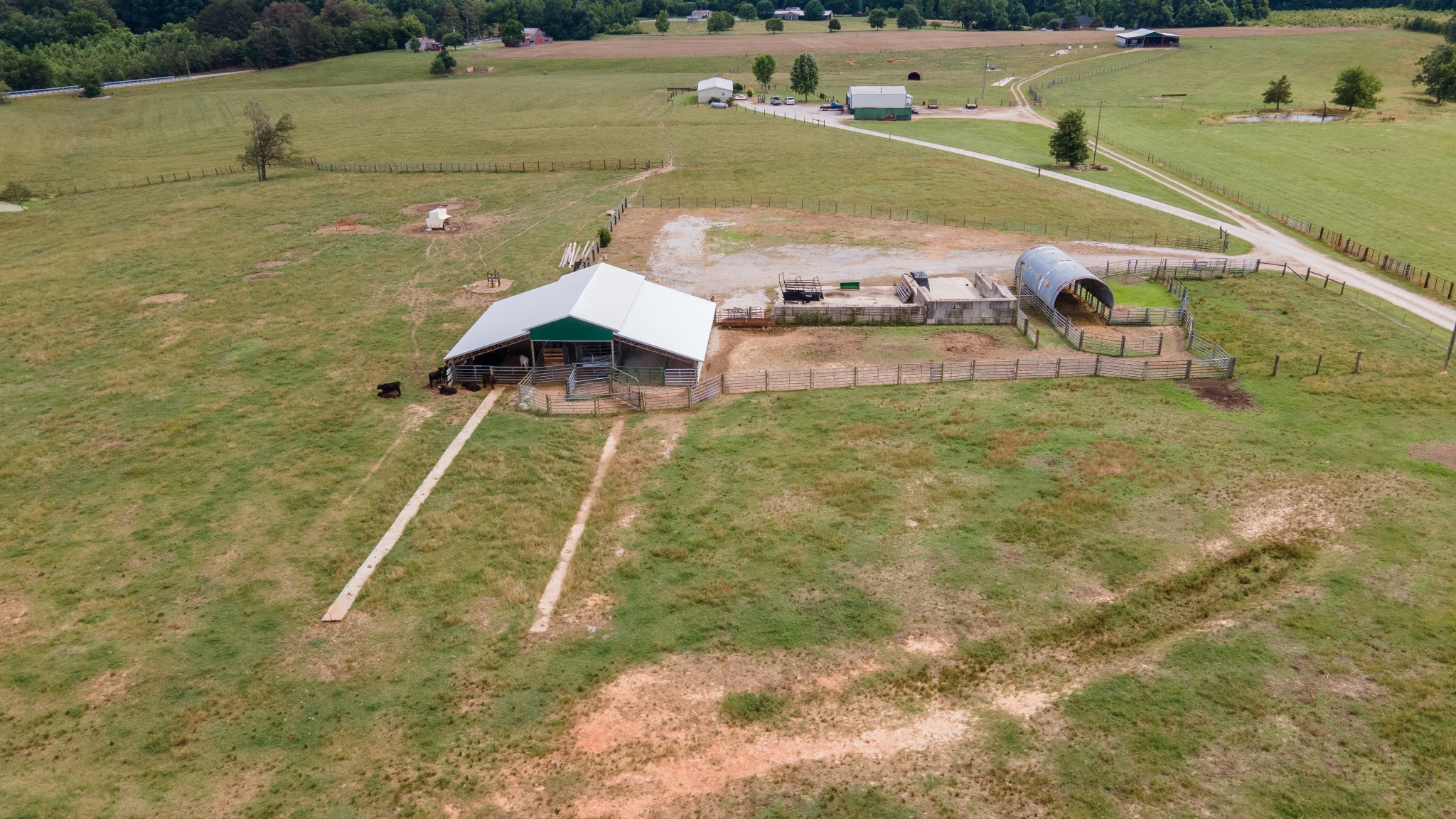 202 High Dollar Heifer Ln