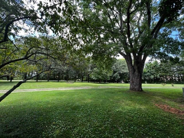1009 Holders Cove Rd
