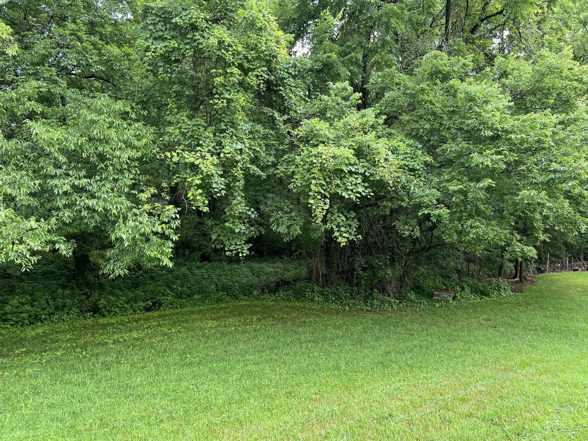 112 Queens Cir