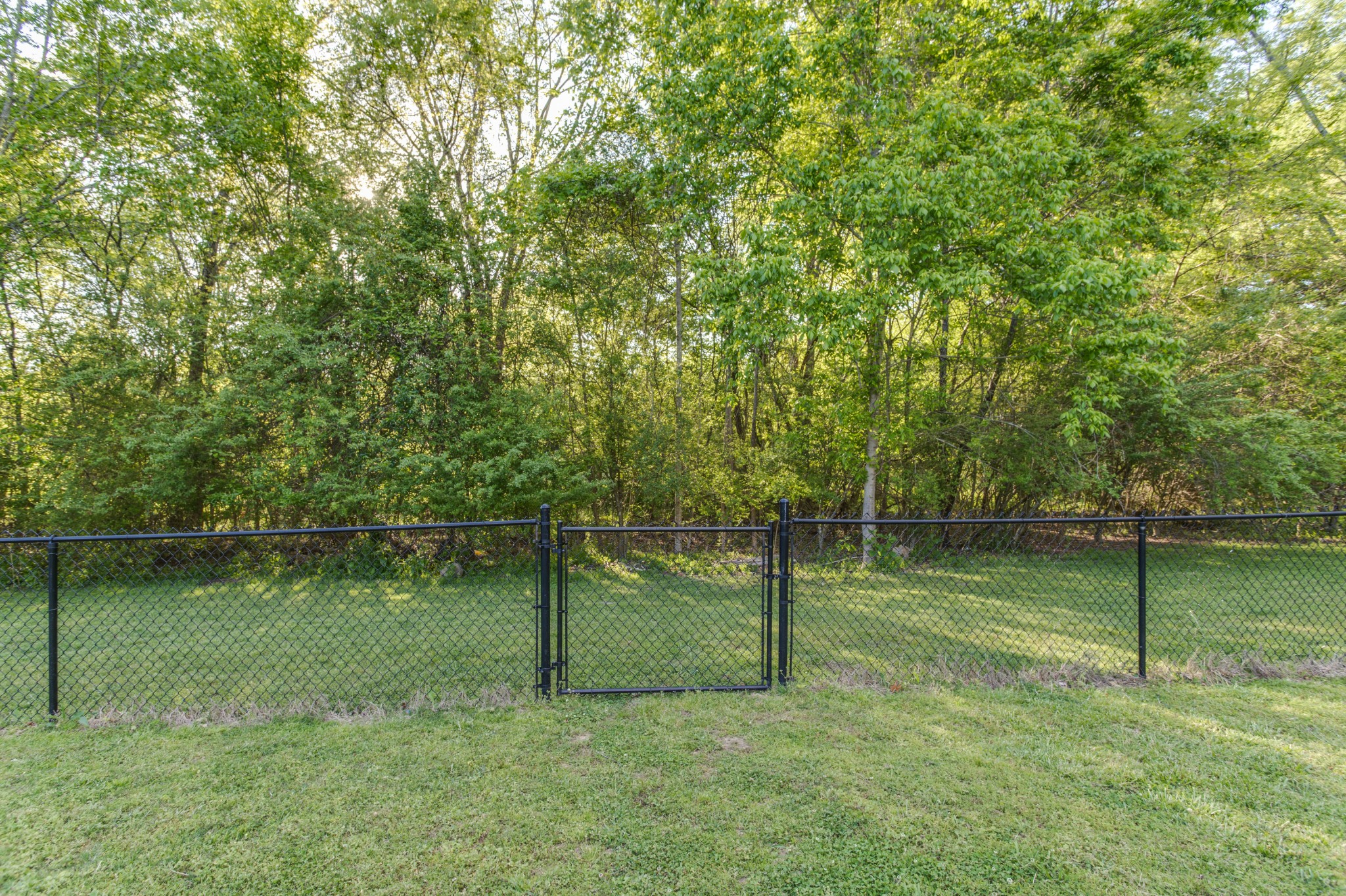 166 Timberlake Dr