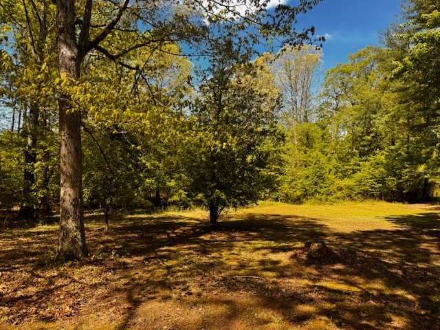 233 Glen Oak Cir