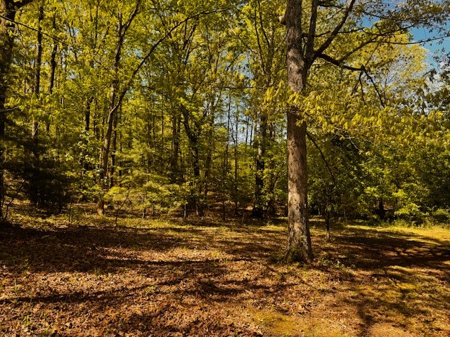 233 Glen Oak Cir