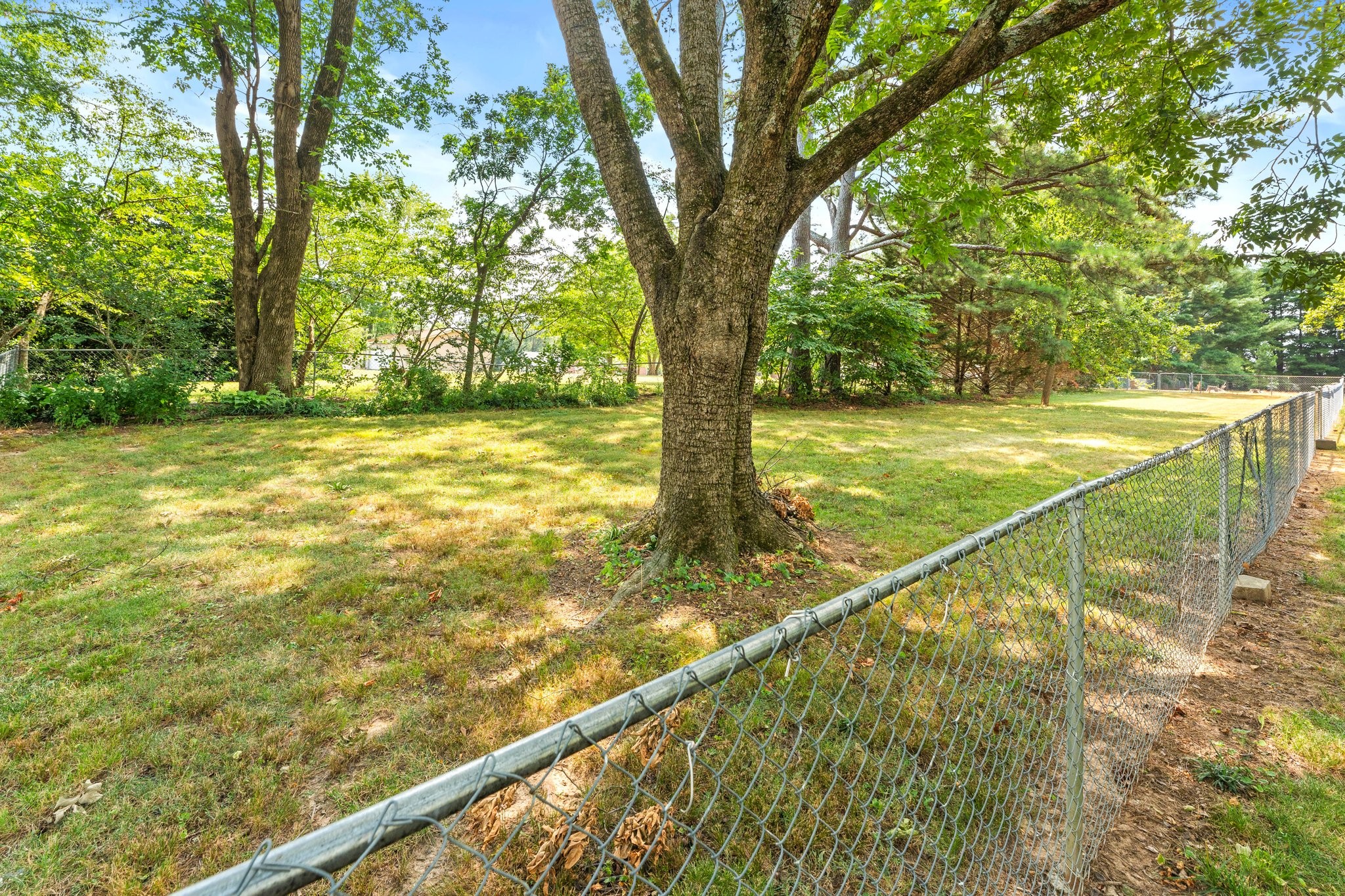 1405 OLD ESTILL SPRINGS RD