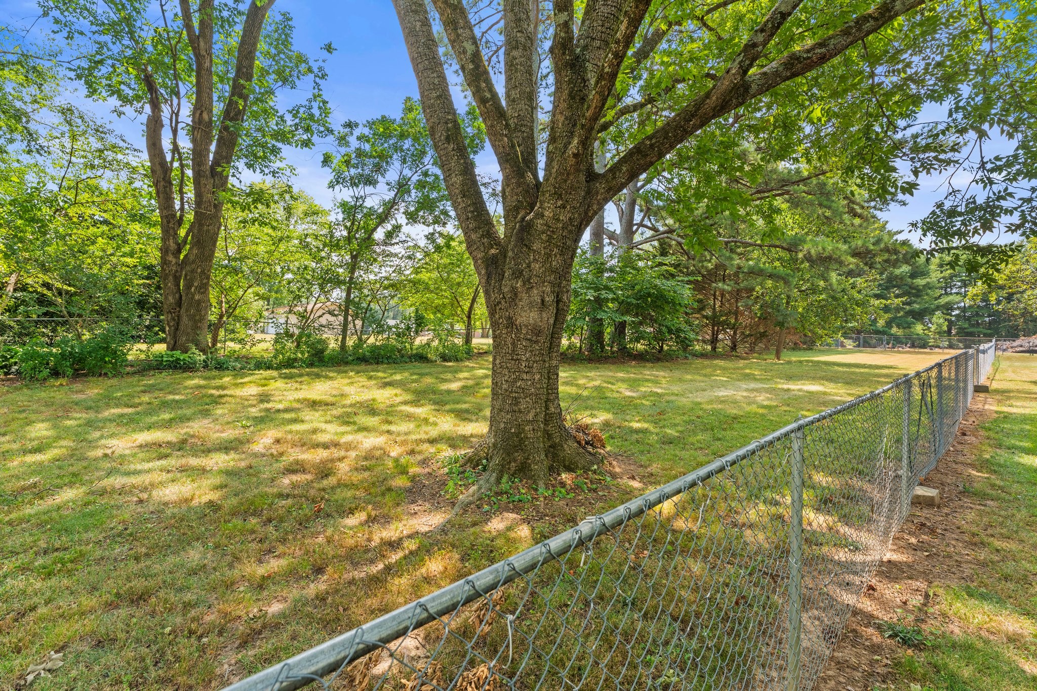 1405 OLD ESTILL SPRINGS RD
