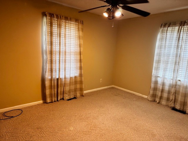 442 Shady Grove Rd
