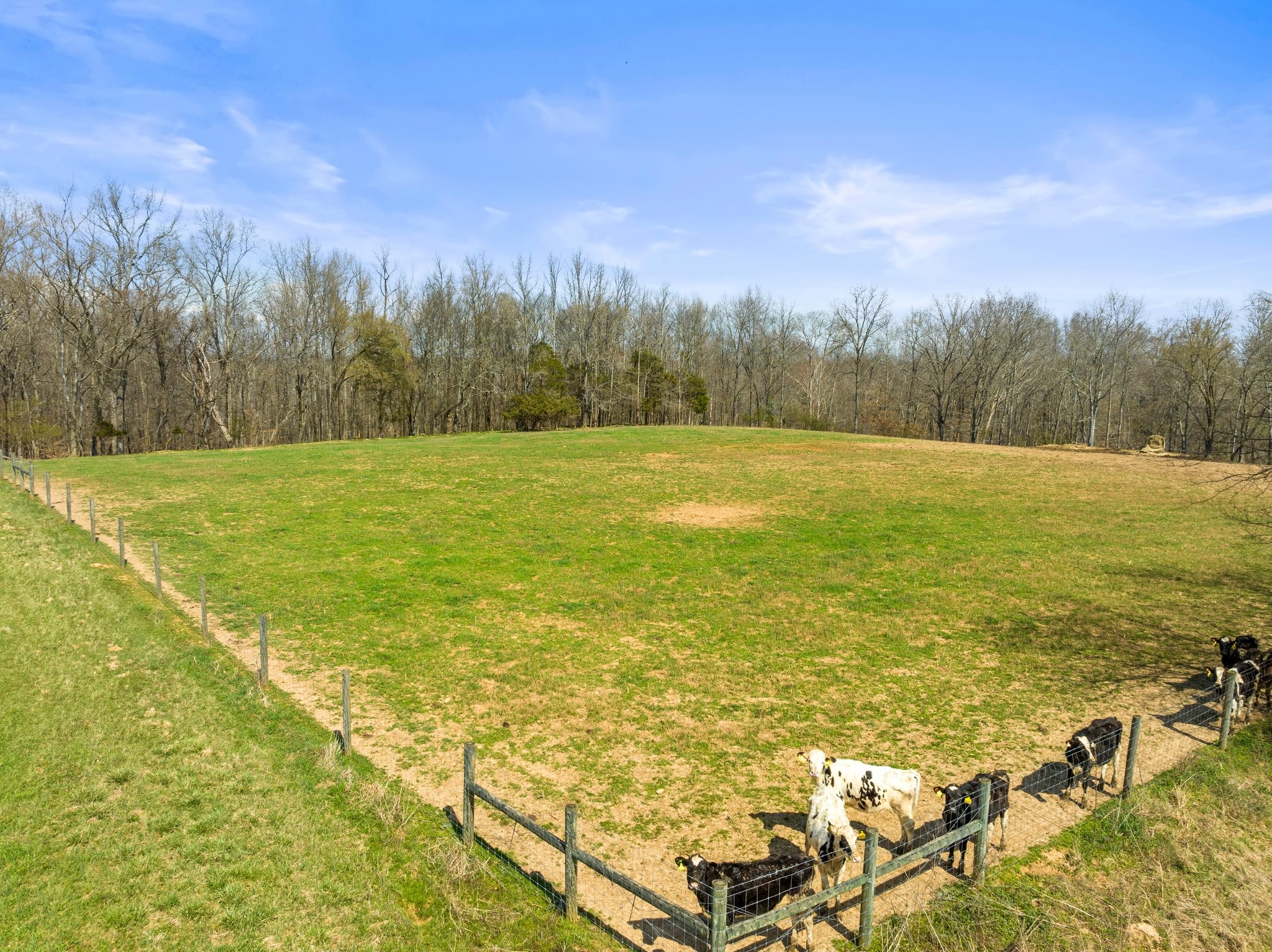 442 Shady Grove Rd