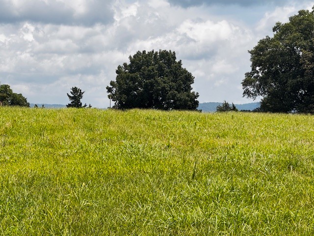 0 Old Holders Cove Rd