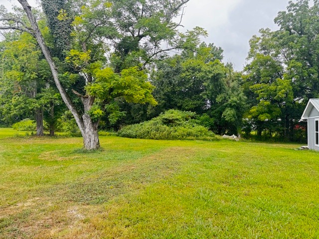 58 Campbell Ln