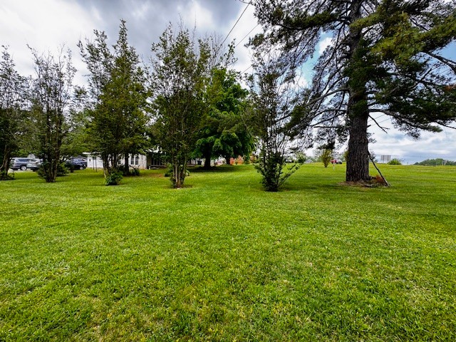 4025 David Crockett Pkwy, W