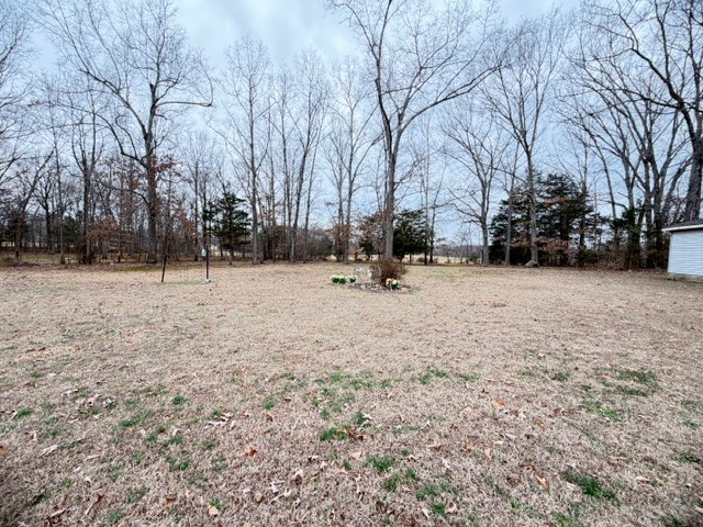 145 Copperas Creek Rd