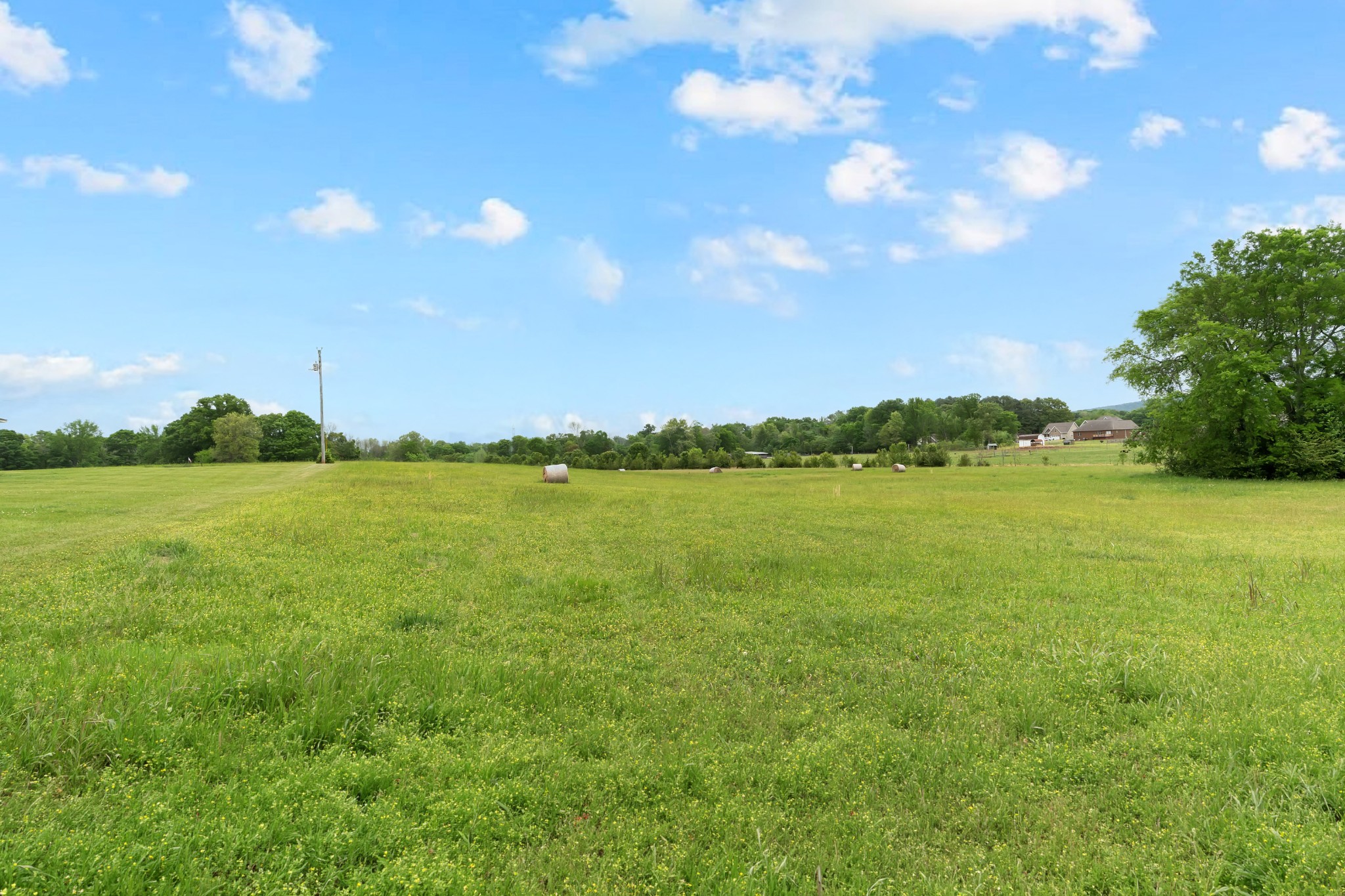0 Blue Springs Rd