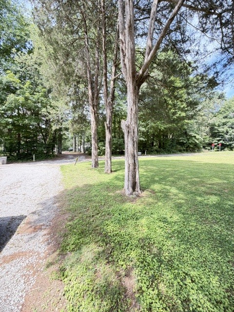 603 N Main St