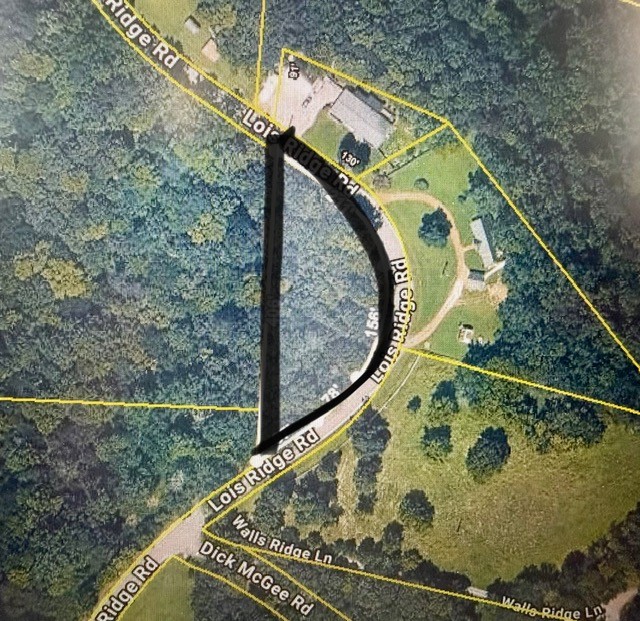 0 Lois Ridge