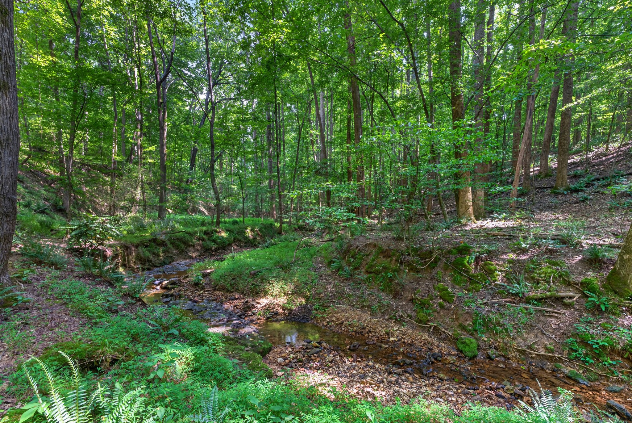 129 Meredith Ln