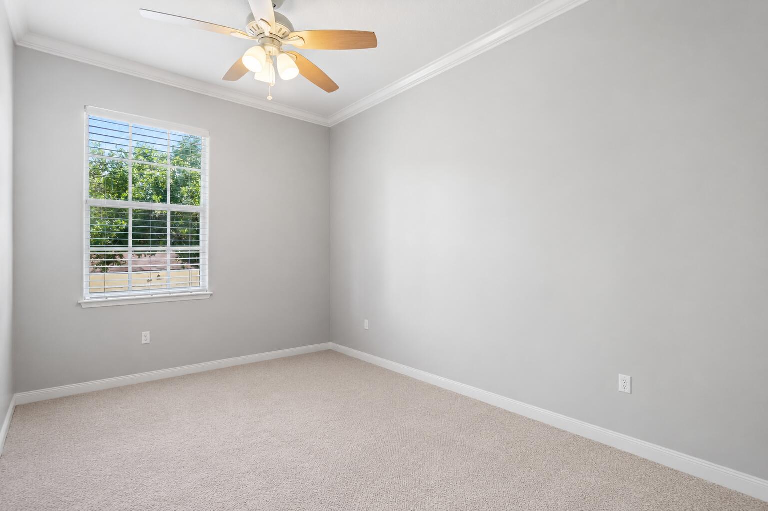 246 Iris Drive